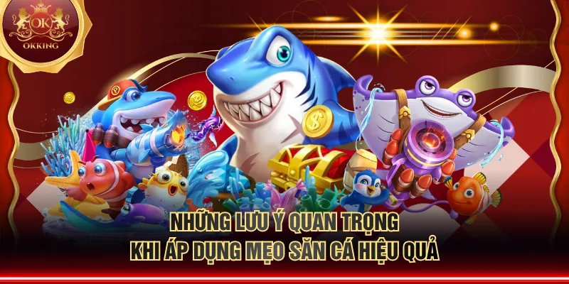 Những lưu ý quan trọng khi áp dụng mẹo săn cá hiệu quả